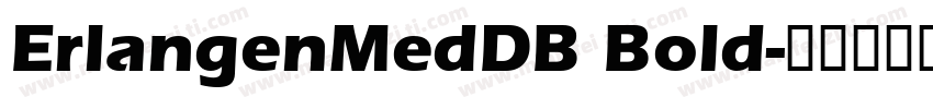 ErlangenMedDB Bold字体转换